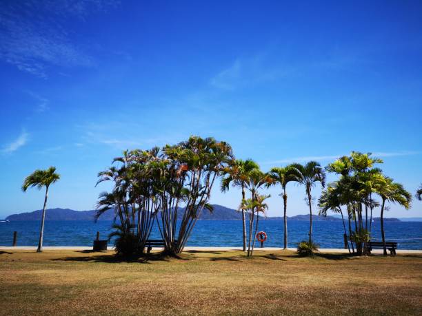 istock Blue sunny sky above with beautiful ocean view. 1139283243