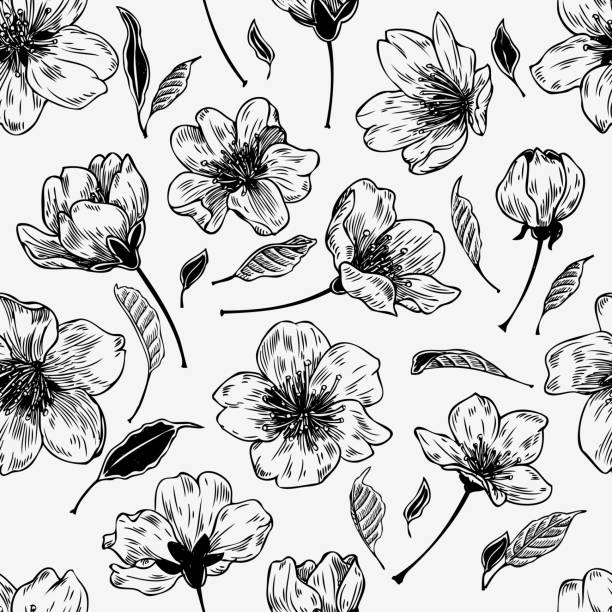 сакура цветы ручной обращается бесшовные картины в винтажном стиле черно-белый ботанический графический для бумаги, текстиля, упаковка ук� - scrap booking stock illustrations