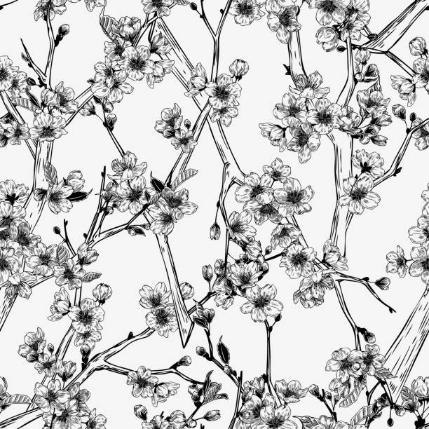 сакура ветви ручной обращается бесшовные картины в винтажном стиле черно-белый ботанический график для бумаги, текстиля, упаковка украшен� - scrap booking stock illustrations