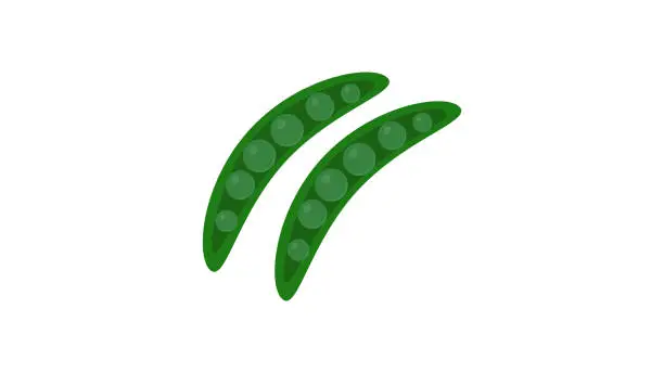 Vector illustration of Green beans icon