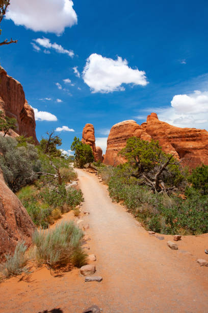 istock Arches National Park, Moab,Utah,USA. 1139287953