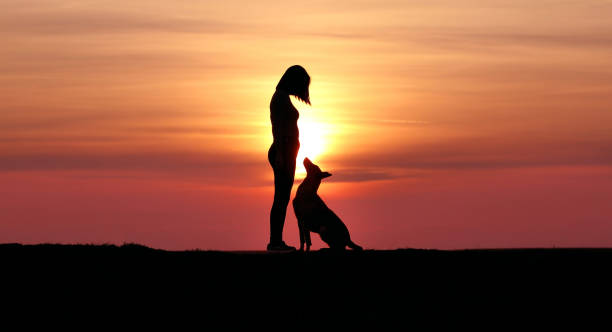 istock Girl and dog on sunset background 1139287960