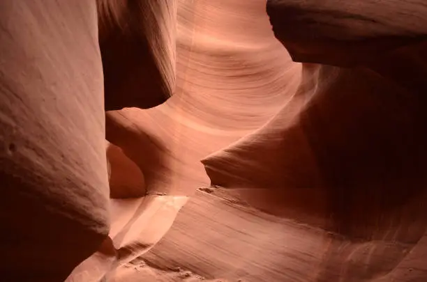 Red sandstone canyon carved out due to flash flooding.