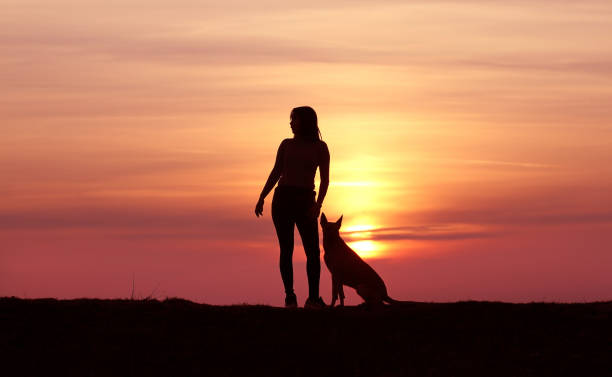 istock Girl and dog on sunset background 1139288210