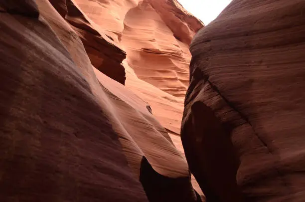 Towering red rock walls of a slot canyon in Arizona.