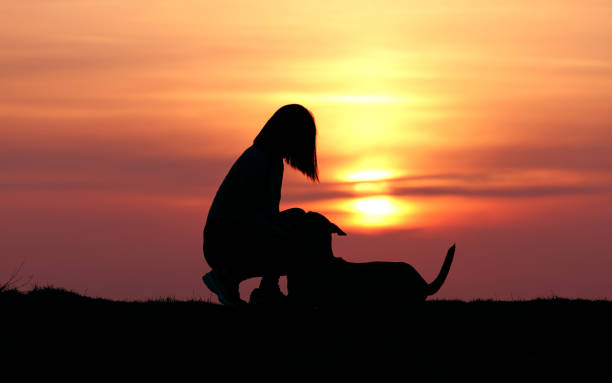 istock Girl and dog on sunset background 1139288348