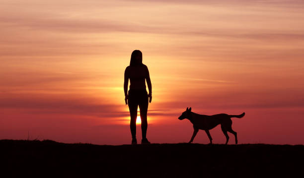 istock Girl and dog on sunset background 1139289084