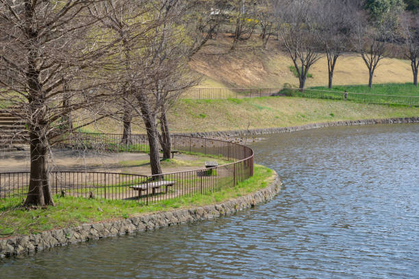 istock Afternoon in the park 1139290466