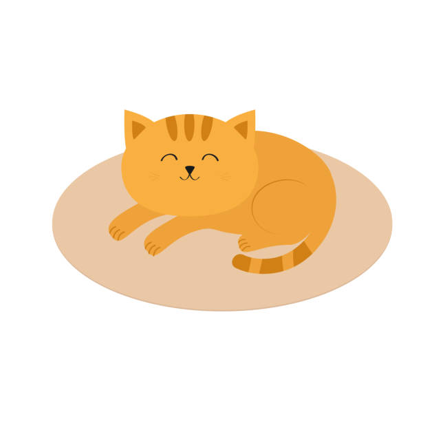 Cute Orange Cat Lying Sleeping On Oval Carpet Rug Mat Moustache Whisker  Funny Cartoon Character White Background Isolated Flat Design Stock  Illustration - Download Image Now - iStock