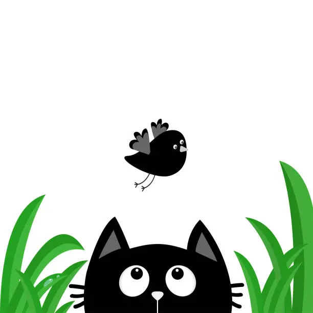 Vector illustration of Black cat face head silhouette looking up to flying bird. Green grass dew drop. Cute cartoon character. Kawaii animal. Baby card. Pet collection. Flat design style. White background. Isolated