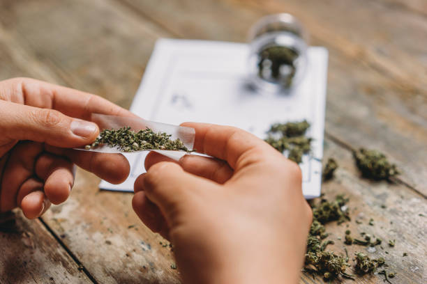 young adult man rolling a marijuana joint - medical marijuana imagens e fotografias de stock