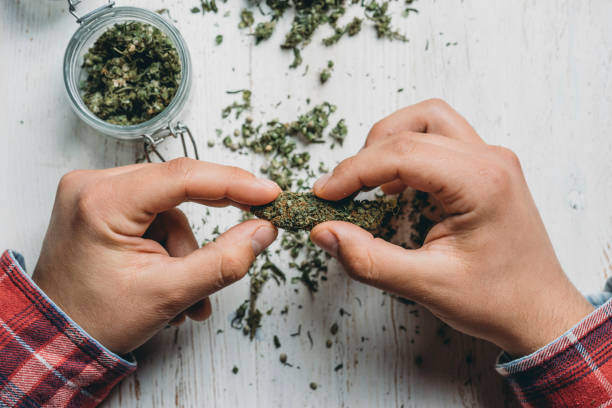 istock Young adult man holding marijuana cannabis 1139292074