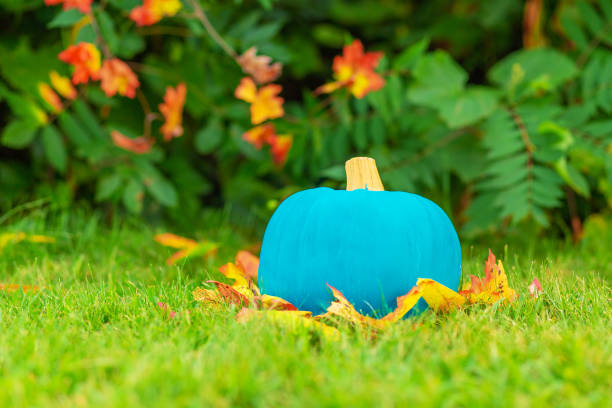 symbol of safety celebration Halloween for kids with food allergy.  Copy space for your text