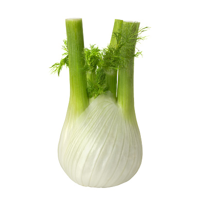 Fennel isolated on a white background close-up.