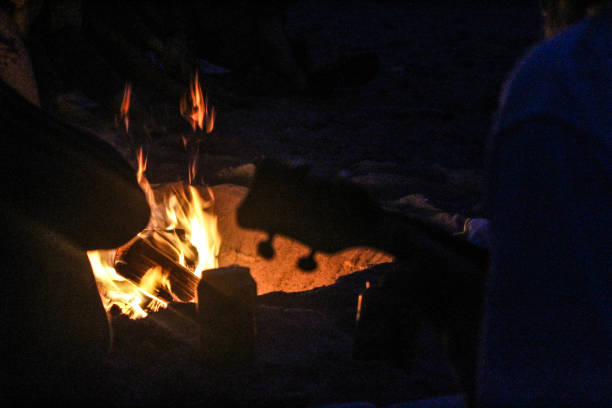 istock Singing songs by a camp fire at the beach 1139299700