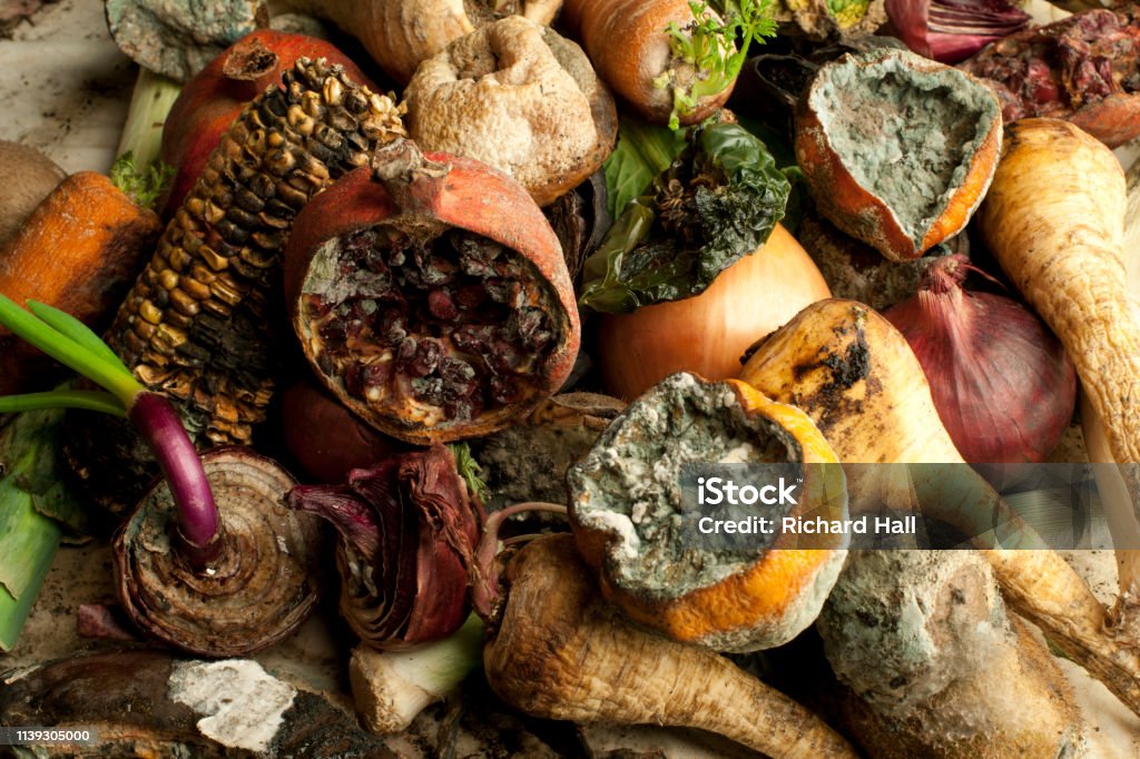 Rotting Fruit and Vegetables Rotten fruit and vegetables clustered together on a table top Food Stock Photo