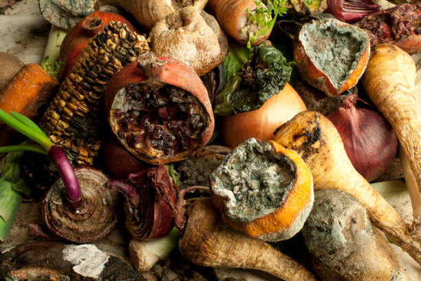 Rotting Fruit and Vegetables Rotten fruit and vegetables clustered together on a table top decay stock pictures, royalty-free photos & images