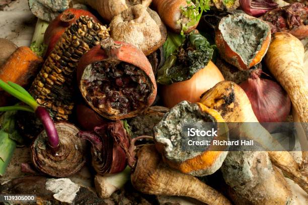 Rotting Fruit And Vegetables Stock Photo - Download Image Now - Food, Rotting, Garbage