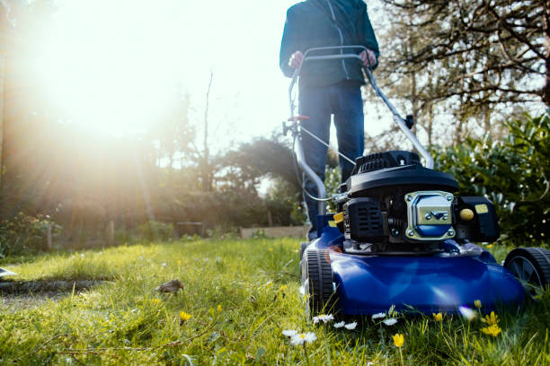 istock Moving the lawn in sparkling sunshine 1139305090