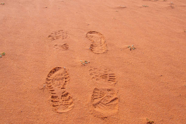 istock Footprints at red sand of wadi rum, Jordan 1139312172