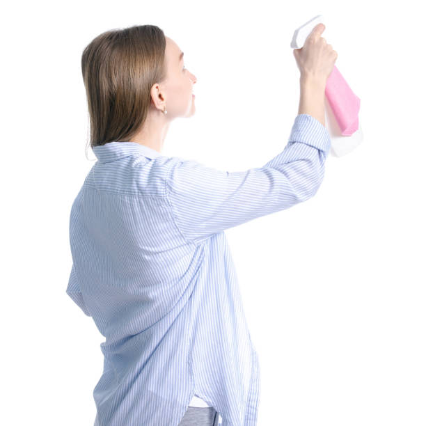 istock Woman housewife cleaning bottle spray rag in hand 1139316607
