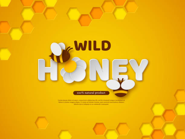 ilustrações de stock, clip art, desenhos animados e ícones de paper cut style bee with honeycombs. - activity animal bee beeswax