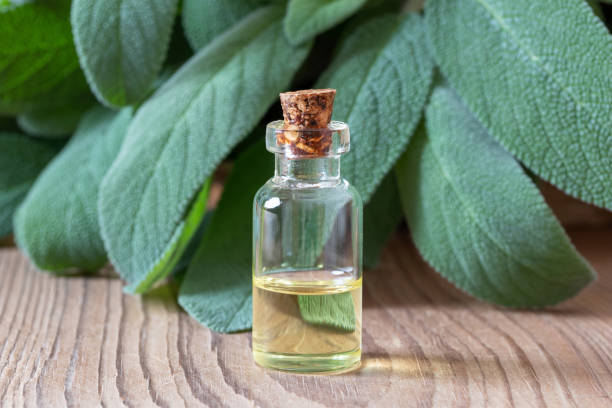 istock A bottle of sage essential oil with fresh sage 1139324561