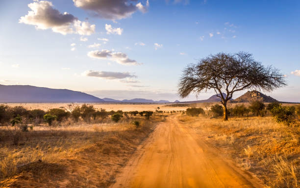 istock Safari road in Kenya 1139324831
