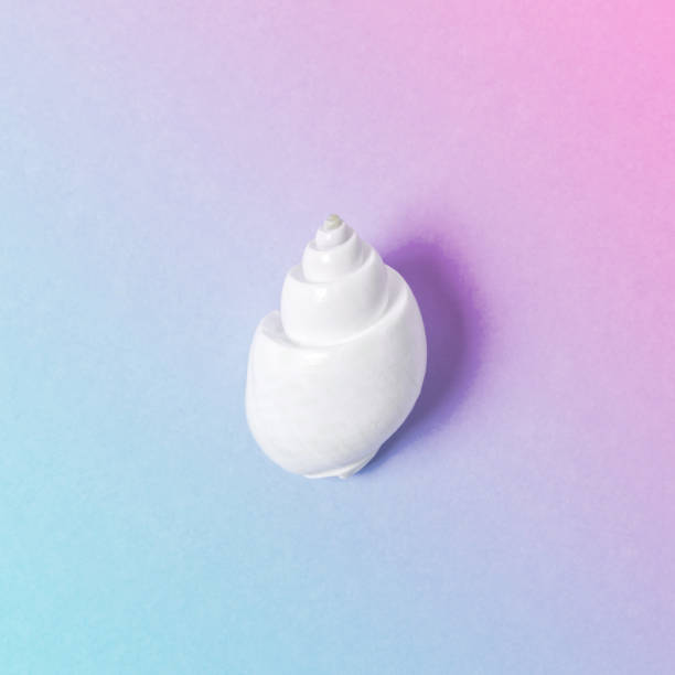 istock Creative composition with seashell on gradient pastel pink and blue background. Summer minimal concept. 1139324876