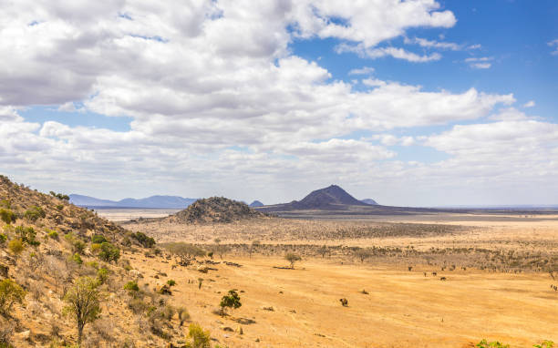 istock Savannah plains landscape in Kenya 1139326086