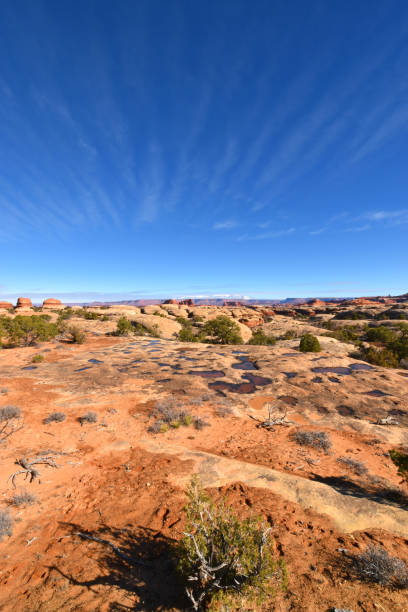 istock Canyonlands, Utah - 2019_01.19: Kessler Trail 1139327295