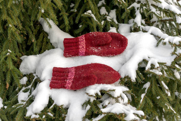 istock handmade red mittens on the snow on the tree 1139328932