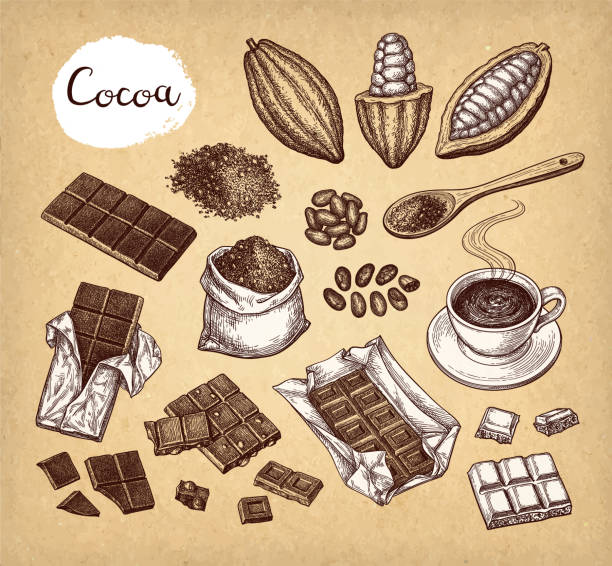 ilustraciones, imágenes clip art, dibujos animados e iconos de stock de set de cacao y chocolate. - chocolate cocoa hot chocolate backgrounds