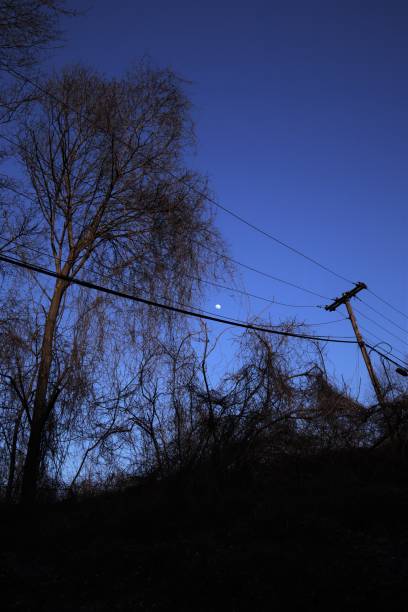 Moon in the sky behind trees and power lines in New York
