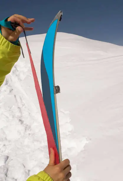 Person sticking climbing skins on splitboard. Ski touring equipment