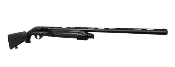 istock Shotgun isolated on white background 1139334158