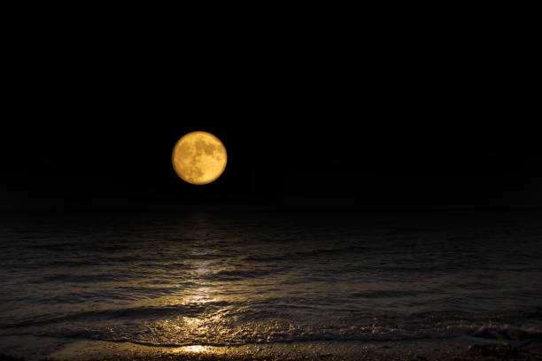 istock Landscape moon over horizon on sea and moonlight. 1139336448