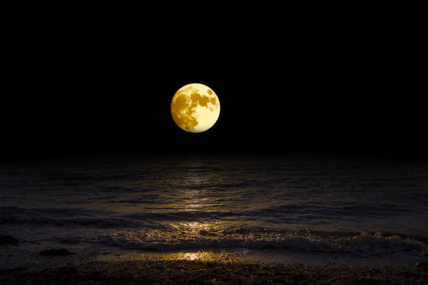 istock Landscape moon over horizon on sea and moonlight. 1139336458