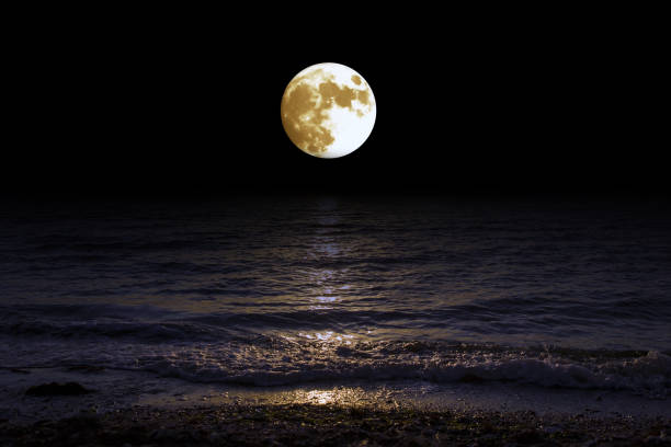 istock Landscape moon over horizon on sea and moonlight. 1139336460