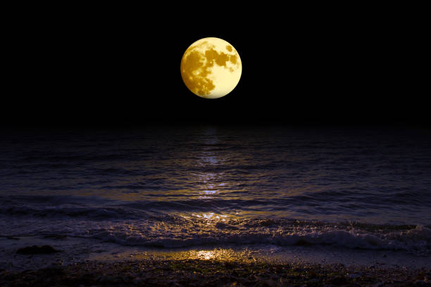istock Landscape moon over horizon on sea and moonlight. 1139336464