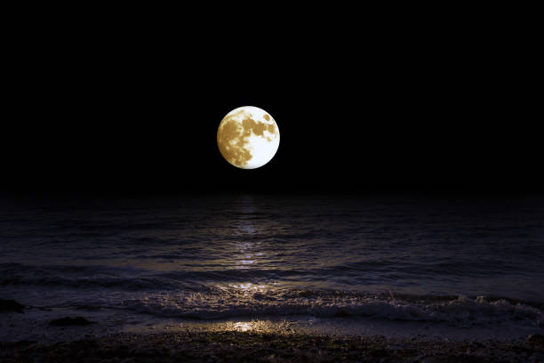 istock Landscape moon over horizon on sea and moonlight. 1139336471