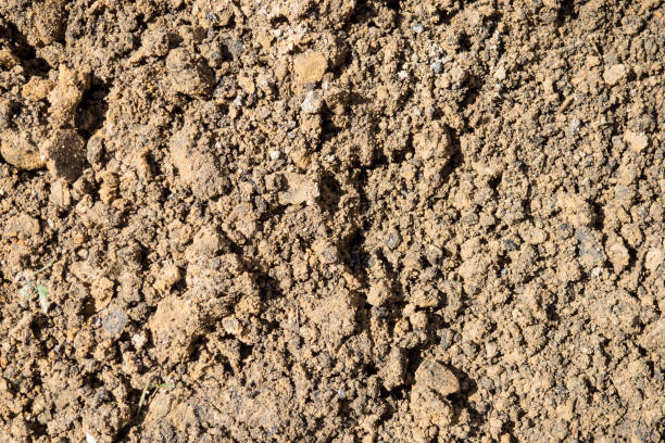 istock Background Industrial sand for construction works. 1139337824