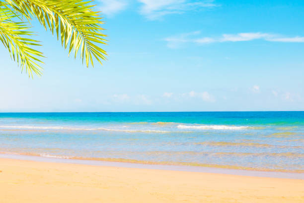 Beautiful Nature Summer Beach Background. Tropical Beach landscape with yellow fine sand, sea water and blue sky on clear Sunny day. Summer vacation Concept. Template for design With Copy Space