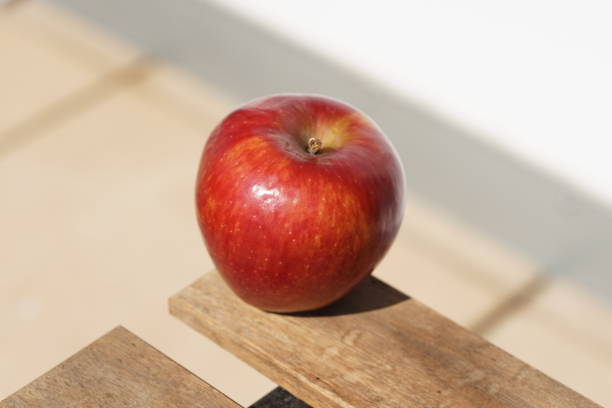 istock Single red Apple on sunny day in macro 1139339944
