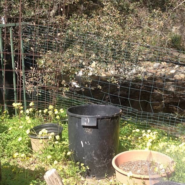 istock Planters and pots in the garden 1139344392