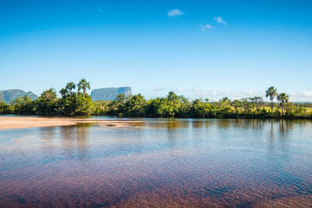 istock Mayupa island beach. Canaima National Park, Venezuela 1139344407