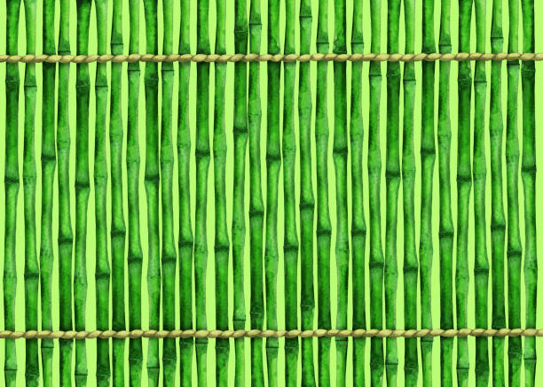 ilustraciones, imágenes clip art, dibujos animados e iconos de stock de fondo de acuarela con árboles de bambú, cuerdas - computer graphic image stick tree trunk