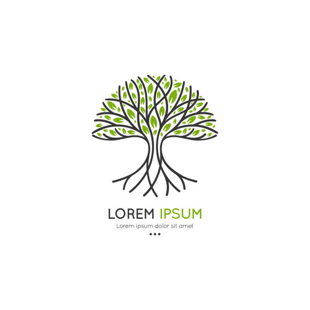 baumlogo. abstrakte und moderne illustration. isolierter vektor. ideal für emblem, monogramm, einladung, flyer, menü, broschüre, hintergrund oder jede gewünschte idee. - tree environment oak tree symbol stock-grafiken, -clipart, -cartoons und -symbole