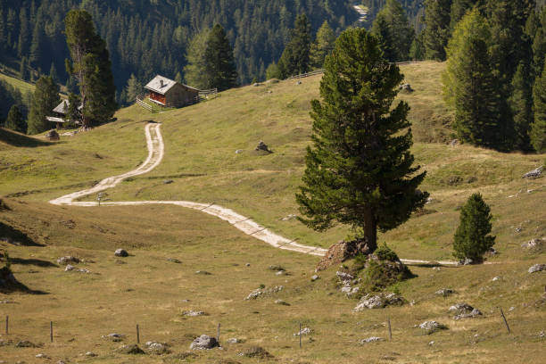 hayloft velho em um pasto em val di funes na queda - altoadige - fotografias e filmes do acervo