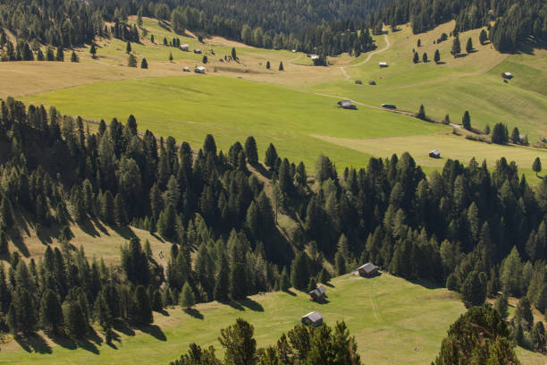 hayloft velho em um pasto em val di funes na queda - altoadige - fotografias e filmes do acervo